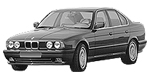 BMW E34 P1A81 Fault Code